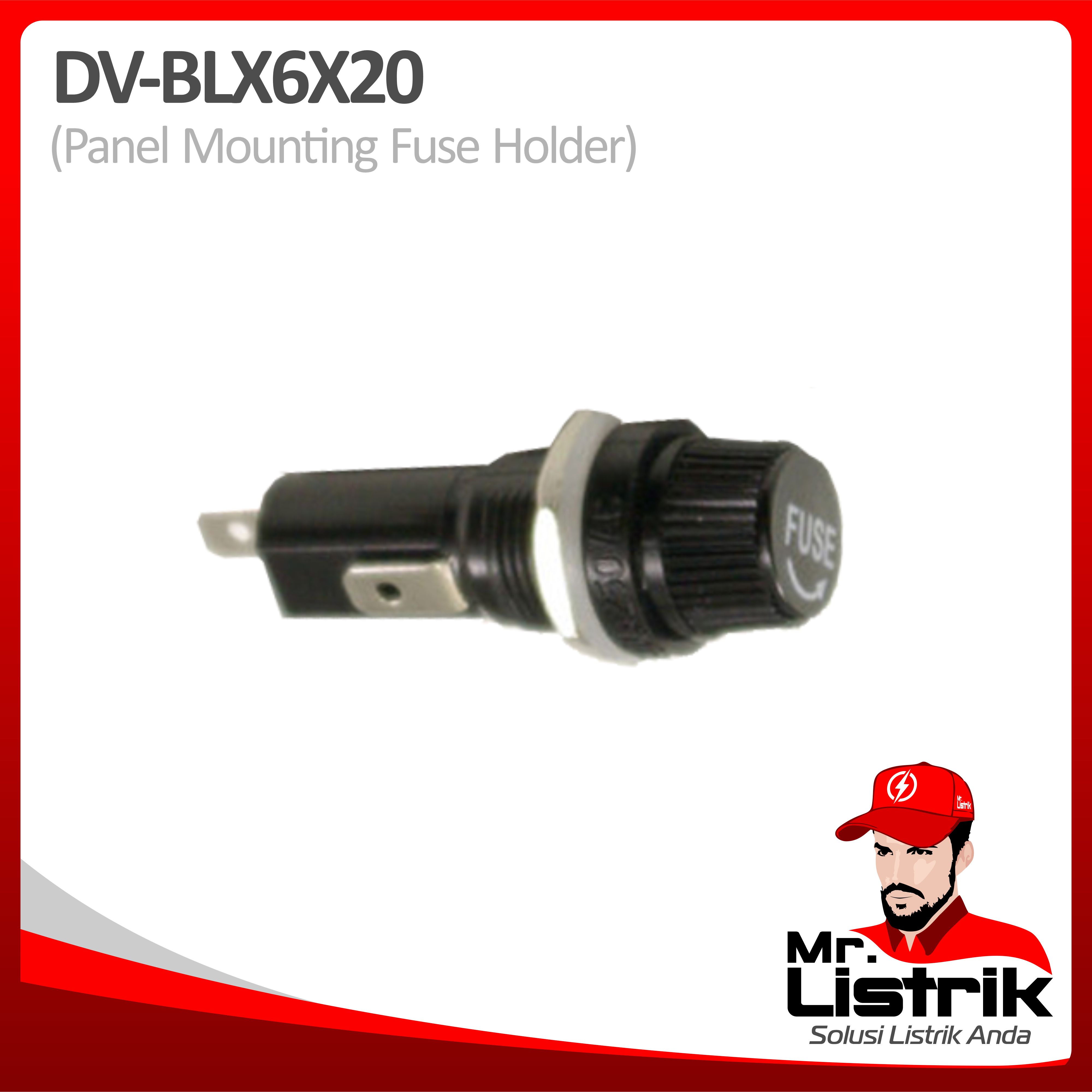 Panel Mounting Fuse Holder 6x30mm DV BLX6X30