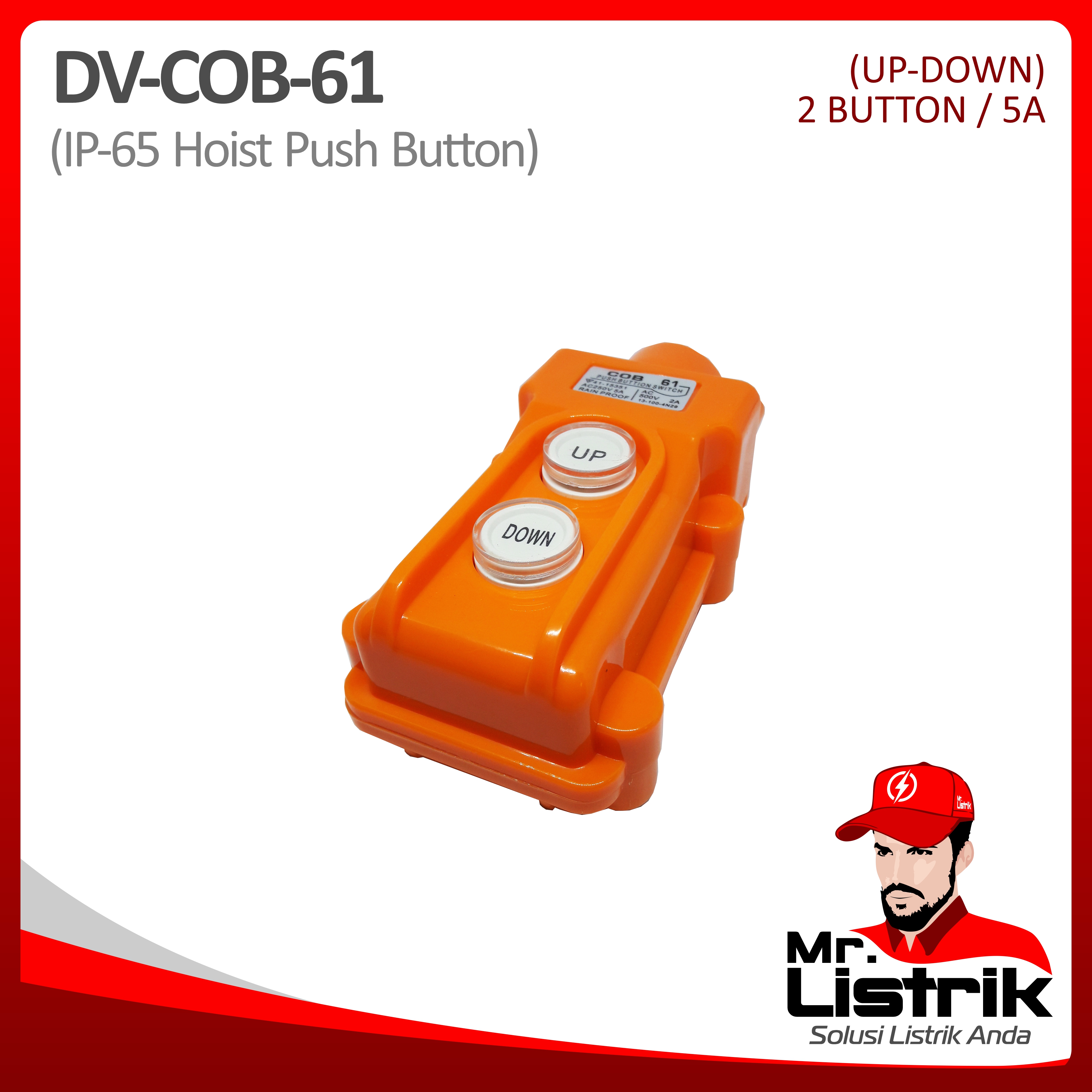Hoist Push Button 2 Button DV COB-61