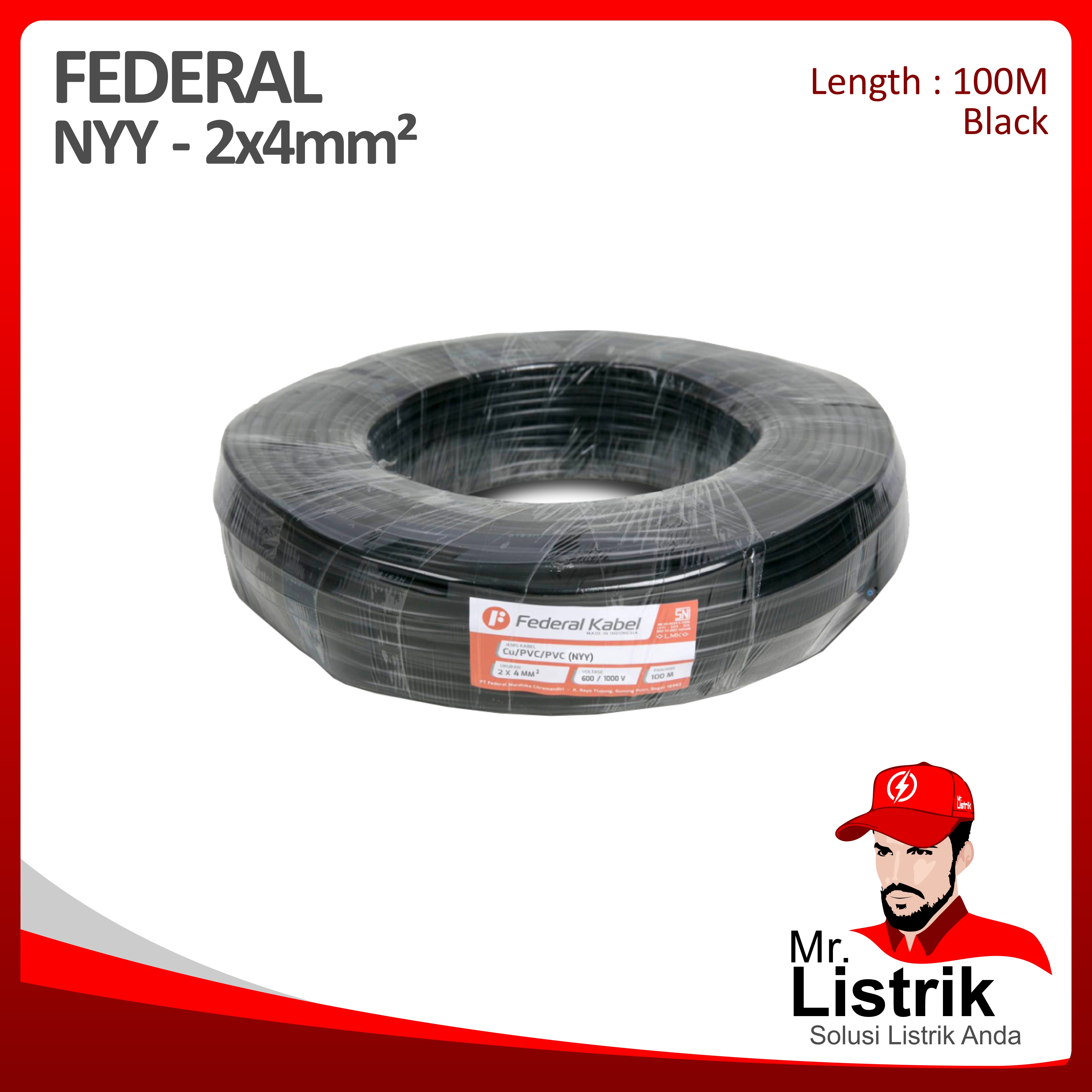 Kabel NYY Federal 2x4 mm² @100 Mtr